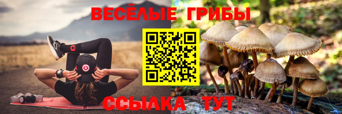 Псилоцибиновые грибы GOLDEN TEACHER  Вход с VPN  Псилоцибиновые грибы Psilocybine cubensis  Баксан 